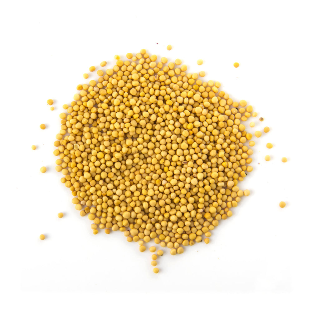 Mustard Seeds 100G Yellow - Oasis