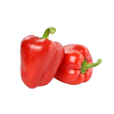 Capsicum Red - Oasis