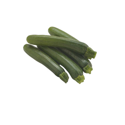 Zucchini - Oasis