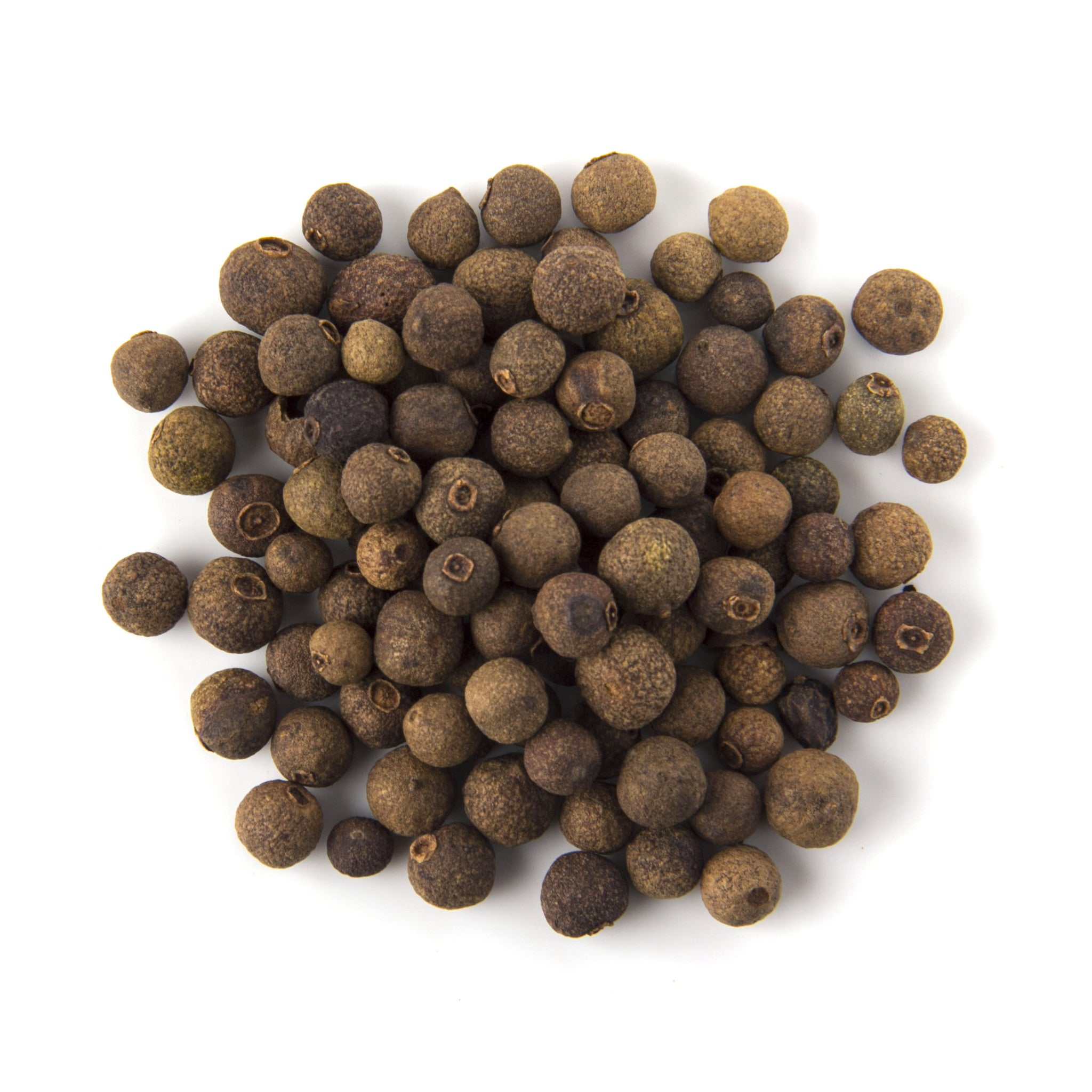 https://oasisonline.com.au/cdn/shop/products/Allspice_whole_100g_2048x.jpg?v=1613482357