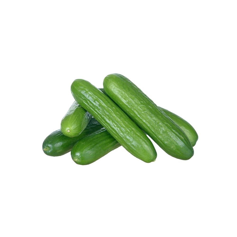 Qukes Baby Cucumber Punnets 250gm - Oasis