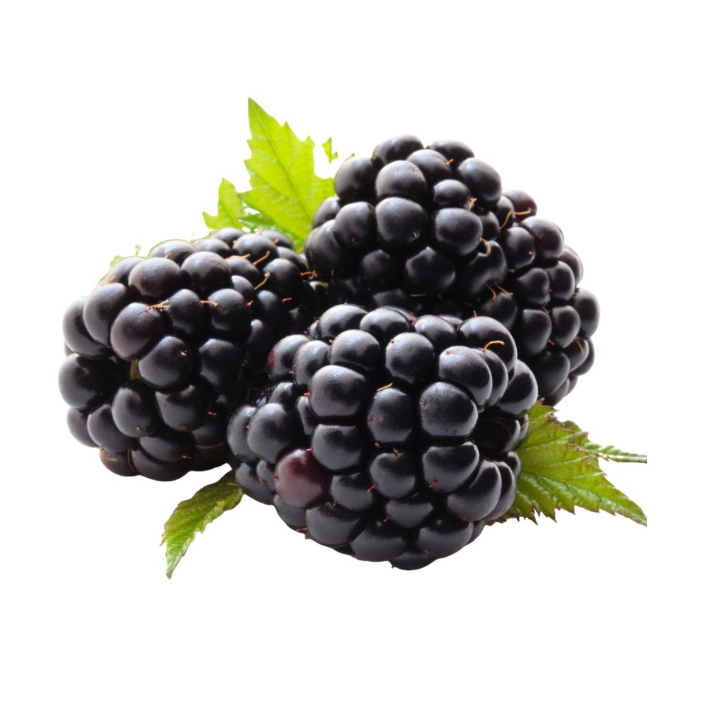Blackberries Punnet - Oasis