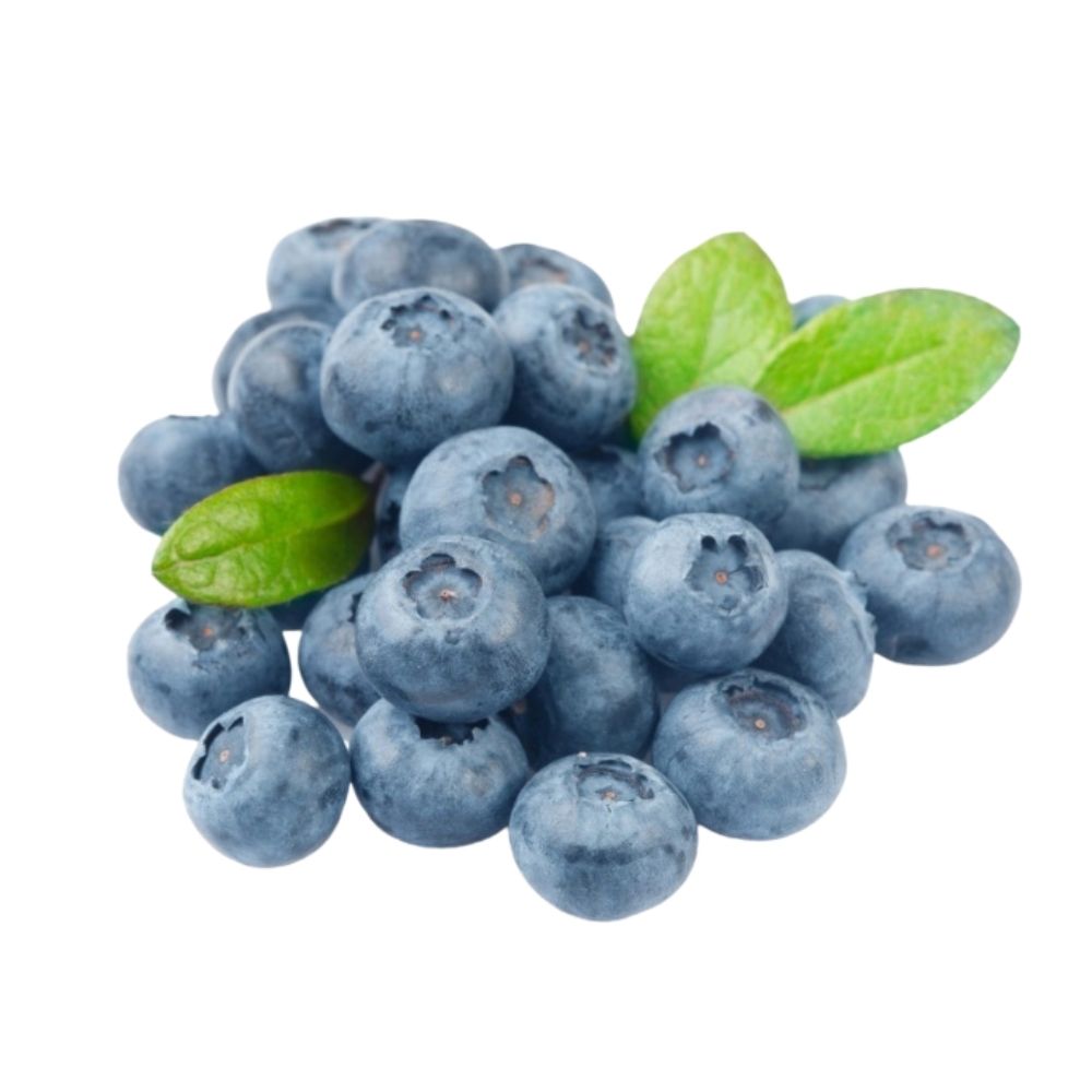 Blueberries Punnet - Oasis
