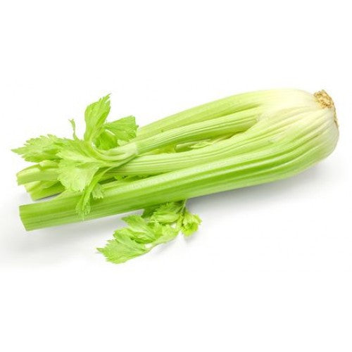 Celery - Oasis