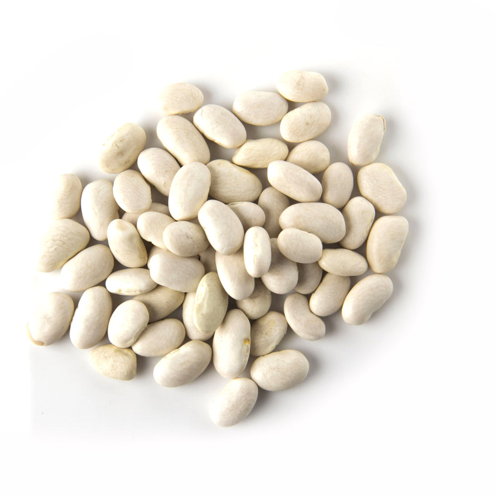 Great Northern Beans 500g - Oasis