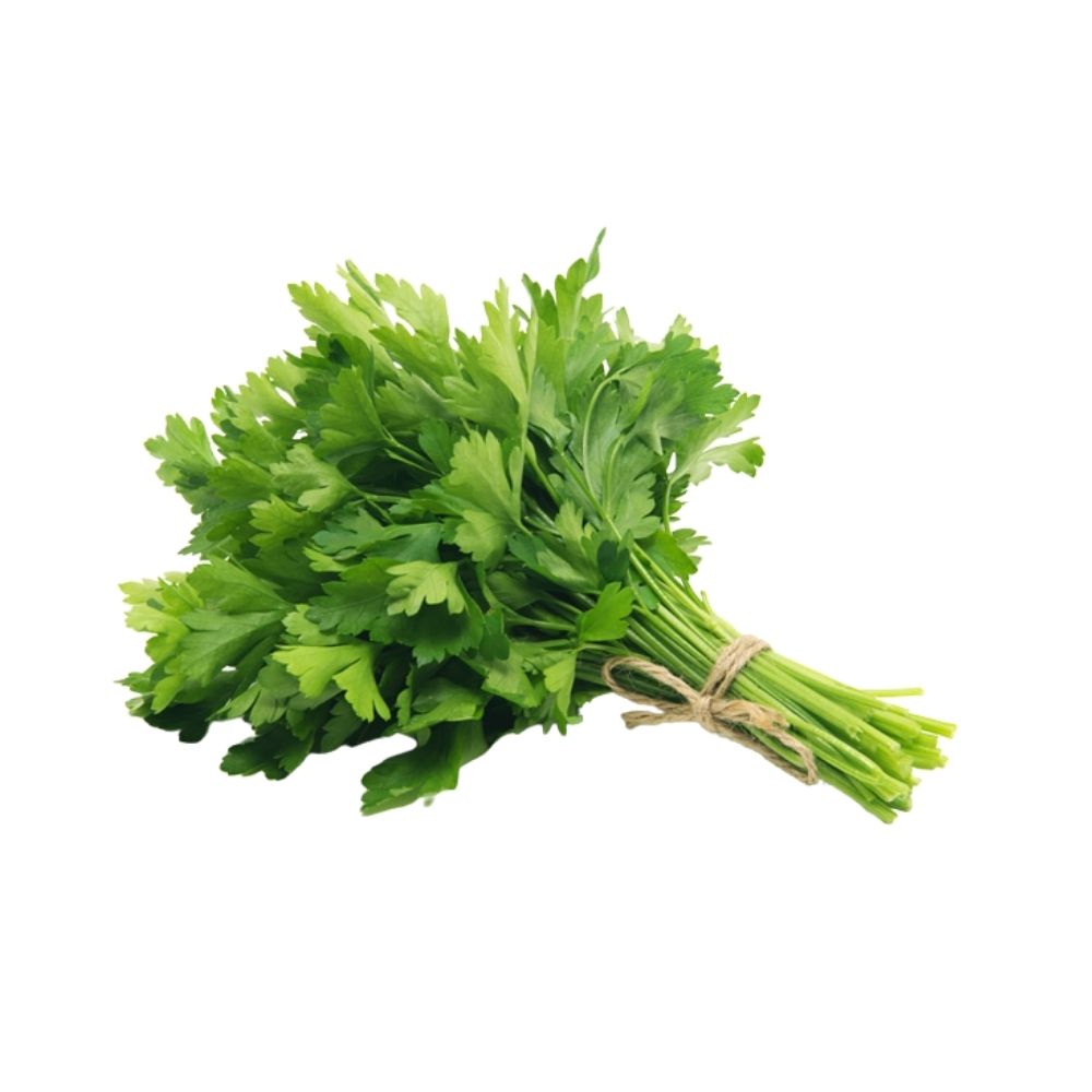 Herbs Continental Parsley Pre packed - Oasis