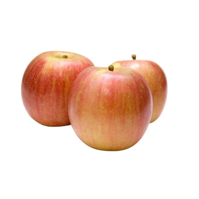 Large Fuji Apple - Oasis