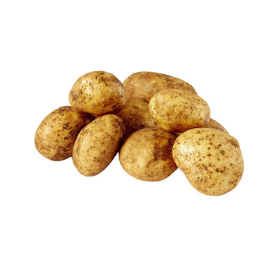 Potato Brushed - Oasis